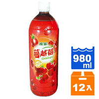 波蜜 蔓越莓綜合果汁飲料 980ml (12入)/箱【康鄰超市】
