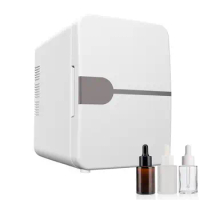 6L Mini Multifunction Refrigerator Cosmetics Mask Beverage Dormitory Refrigerators Cooler Warmer Beauty Fridge for Car