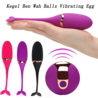 Wearable Panties Wireless Vibrating Egg Remote Control Vibrators G Spot Clitoris Massager Adult Sex Toys For Women Masturbators