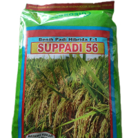 BENIH PADI HIBRIDA SUPPADI P-56