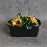 Clover Pot Bunga Persegi Panjang - Hitam
