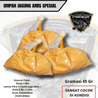 Umpan Ikan Mas JAGUNG AMIS SPESIAL ||  salmon kerapu kakap udang Pancing