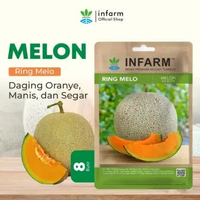 INFARM - Benih Buah Melon Ringmelo, Bibit Buah Melon Hibrida Biji Buah Melon Manis Premium