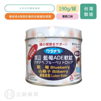 人生製藥 渡邊 Watanabe  藍莓ADE軟錠 190克/罐 葡萄口味 藍莓 山桑子 葉黃素 公司貨【立赫藥局】