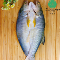 【Camaron 卡馬龍】特級 午仔魚 一夜干 300公克/隻
