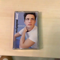 Kaset Joey Mcintyre Stay The Same