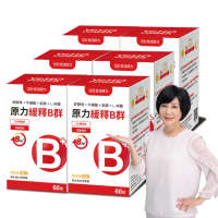 【悠活原力】原力緩釋維生素B群 緩釋膜衣錠X6盒(60粒/瓶 綜合維生素 綜合維他命 B群 維生素B群 維他命B群)