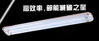【燈王的店】台灣製 LED T8 4尺雙管美術型燈具 + 電子開關 (燈管另購) LED-SK40232