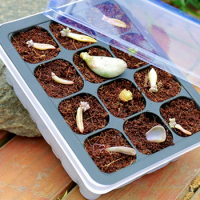 12 Holes Nursery Grow Box Plastic Seedling Starter Tray Extra Strength Seed Germination Plant Flower Pots Home Garden Tools