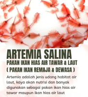 Artemia remaja  - pakan ikan laut & ikan tawar khusus remaja