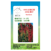 【蔬菜工坊】H49.台灣紅藜種子.未脫殼(彩虹)