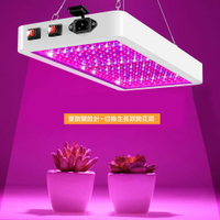 LED 植物燈  防水 全光譜 育苗 植物生長燈 大棚種植燈