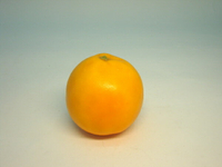 《食物模型》POLY葡萄柚 - BP1041
