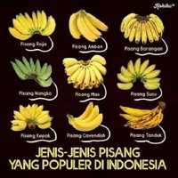 Pisang Ambon : kuning - Lumut /Raja : Bulu - Susu - Sereh - aa P Raja Susu