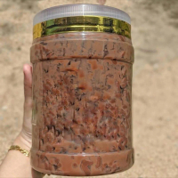 CHOCOJAR BIG SIZE 1400ML COKLAT PREMIUM