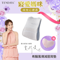 TENDAYS希臘風情減壓背墊(車內及辦公室適用 腰墊背墊)