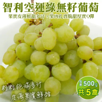【果之蔬】智利空運綠無籽葡萄(約500g/盒)x5盒