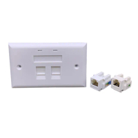 【台灣霓虹】埋入型雙孔防塵資訊插座-網路Cat.6+電話Cat.3