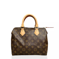 Louis Vuitton [PRELOVED] Louis Vuitton Monogram Speedy 25 Brown Handbag