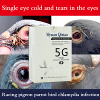 Chlamydia, homing pigeon, pigeon medicine, monocular cold, parrot bird special eye tearing, common disease