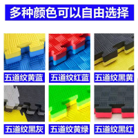 SL Taekwondo Mattress Non-Slip Sports Mat Stitching Martial Arts Dance Gym Training Mat 100 Foam Mat