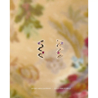 สินค้าขายดี จัดส่งเฉพาะจุด Julys - spider web earrings (Special Halloween Edition)