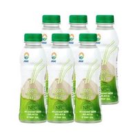 其他品牌 - 九日冰祖椰子水椰青水越南進口椰汁清甜解渴飲品家庭分享飲料飲品