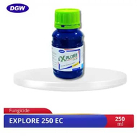 DGW - FUNGISIDA EXPLORE 250 EC - 250 ML + KAOS
