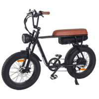 500w Motor E-bike Fat Tire Mountain Bike Fatbike Electric Bicycle Foldable