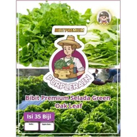 Bibit Premium Selada Green Oakleaf | Benih Green Selada Oakleaf Hijau