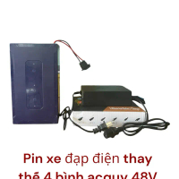 Pin Xe đạp điện thay thế 4 bình acquy 48V 20A