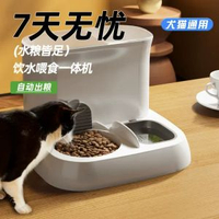 貓咪大容量自動自動餵食器飲水器