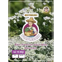 Bibit Premium Daun Mint Montain | Benih Menthol Mint