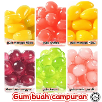 (halal) Gum mangga, Gum lychee, Gum tigi, Gum buah madu [Gum buah campuran 300g]