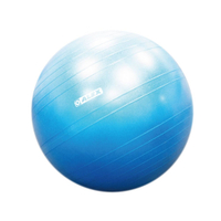 ALEX 韻律球(55CM)(台灣製 附打氣筒 健身 訓練 瑜珈球「B-3055」≡排汗專家≡