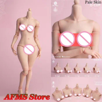 In Stock Worldbox 1/6 Female Replacement Accessories Big Breast