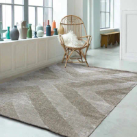 范登伯格 巴頓 現代時尚長毛地毯-印象-160x230cm