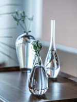 朵頤日式玻璃花瓶擺件水培客廳透明插花花瓶花器禪意玉凈瓶觀音瓶1入