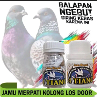 Pil Merpati EMPAT TIANG Kolong isi 50-100 butir Ginseng Teki Giring Keket keras Pil Herbal Doping Gi
