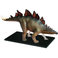 4D Vision Animal Stegosaurus (Full Skeleton) Anatomy Model Jurassic Simulation Dinosaur Toy Collection Decoration Kids Education