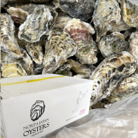 【一手鮮貨】日本宮城縣生食級牡蠣_2L(1箱組/10kg)