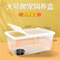 烏龜冬眠箱爬寵專用保濕保暖飼養箱巴西龜草龜苔蘚椰土過冬保溫箱