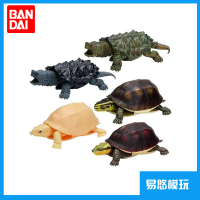 {可刷卡 打統編}萬代 仿真生物系列 生物大圖鑒 盒蛋 烏龜陸龜 閉殼龜 鱷龜