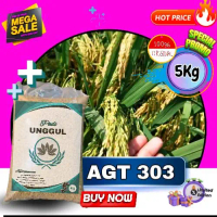 benih padi AGT 303 , benih padi berkualitas