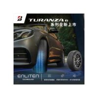 【BRIDGESTONE 普利司通】TURANZA 6 駕馭舒適盡享從容215/55/17_四入組送安裝(車麗屋)