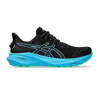 Asics GT-2000 13 Lite-Show [1011B953-001] 男 慢跑鞋 運動 路跑 支撐 黑藍