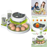 Egg Incubator Egg Flipping Function Incubator Temperature And Humidity Digital Control, Supporting 8 Eggs