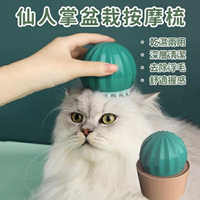 『台灣x現貨秒出』仙人掌盆栽造型寵物矽膠梳毛刷 去浮毛刷寵物洗澡刷