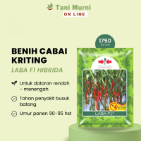 Q&J2 Benih Cabe Merah Keriting Hibrida Laba F1 / Lado Baru 1750 Butir Cap Panah Merah GRATIS ONGKIRK
