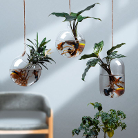 吊籃 創意水培植物小魚缸一體綠蘿壁掛綠植式玻璃瓶墻吊掛吊壁懸掛花瓶